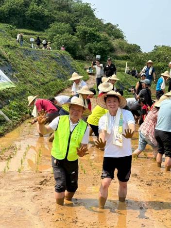 鵝尾山插秧活動示範區