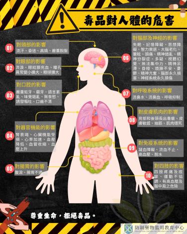 毒品對人體的危害