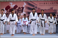 跆拳道表演 跆拳道表演