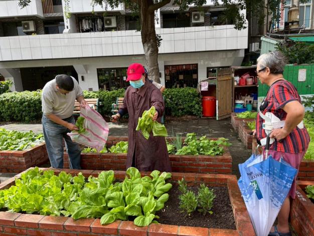 LINE_ALBUM_1140922九月收成-公益贈菜_250926_10