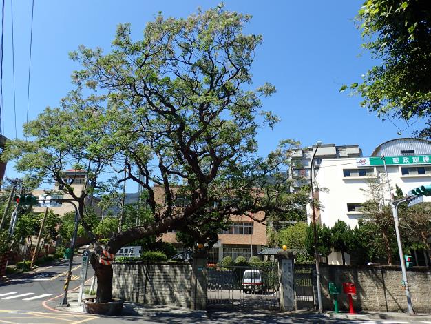 中正山親山步道郵政訓練所登山口景象。