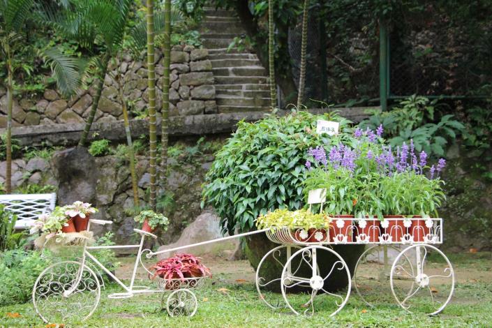 圖4.利用歐式腳踏車搭配香草植物營造浪漫氛圍.jpg