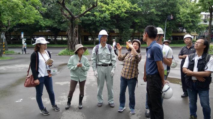 (圖6)在樹醫生專業評估下修剪，樹才能長得強健又具美觀性