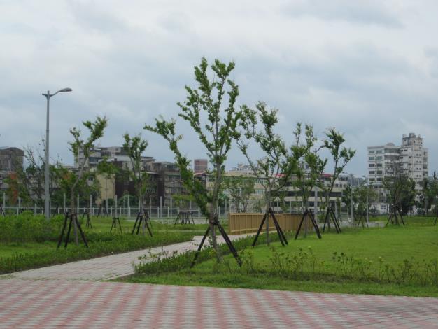 圖3. 玉東公園內種植不少原生種植物