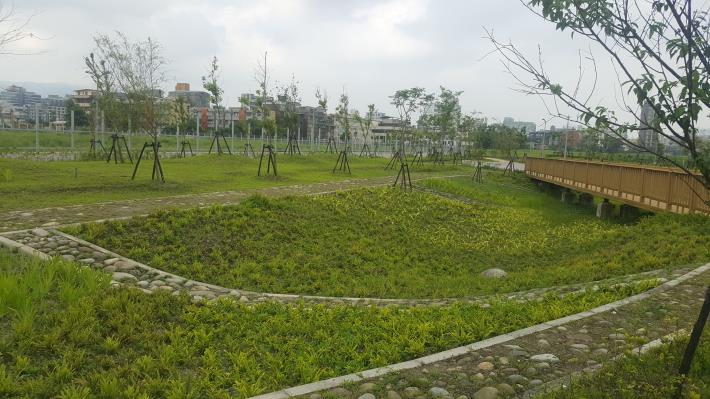圖8.兼具景觀與防洪的雨水生態花園