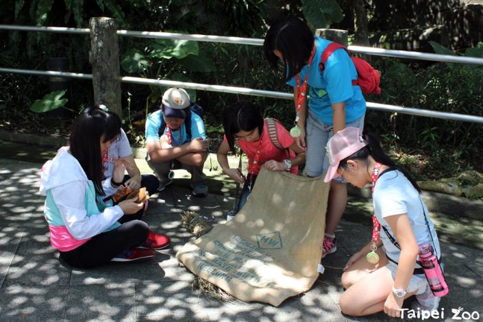 動物園科學家體驗營讓你親自動手為動物設計玩具