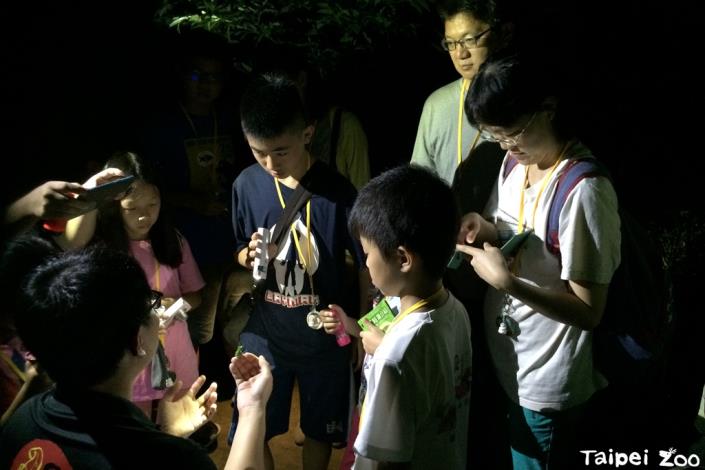 叢林探險營帶你探索夜間動物園的驚奇