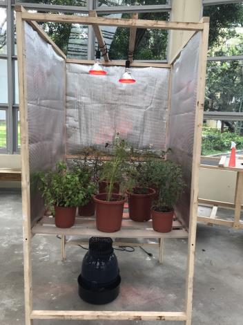 圖3. 喫涼茶1