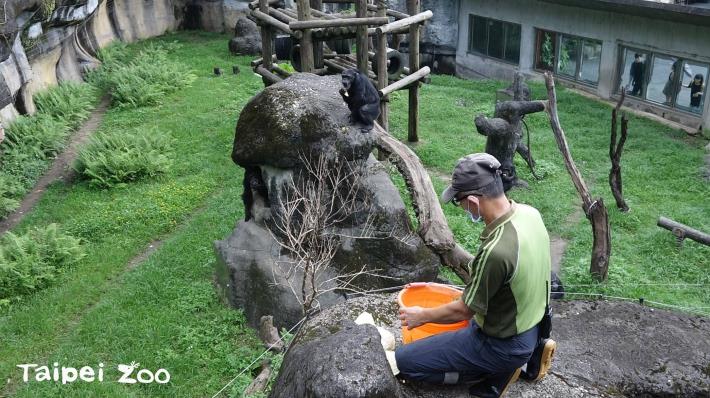 動物園裡的每位保育員都盡心盡力的在為珍貴的野生動物努力
