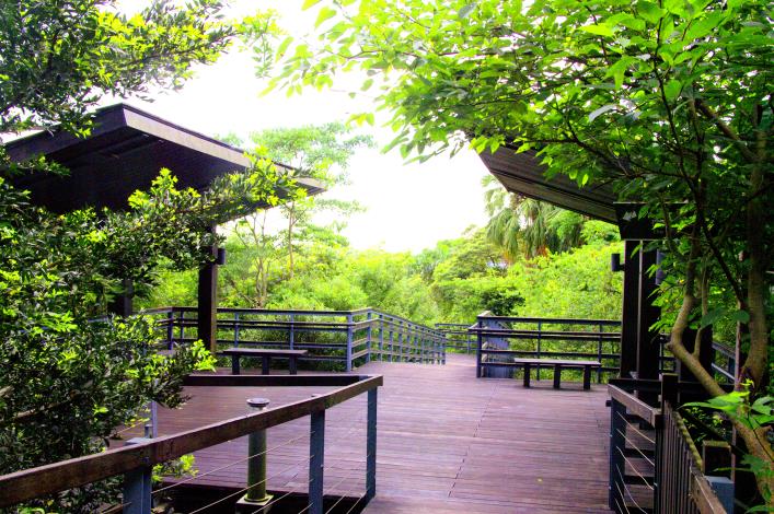 園區內的木棧道及涼亭平台走起來也十分舒適