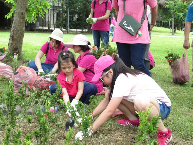 (圖5)親子共同參加，體驗綠化種植美好