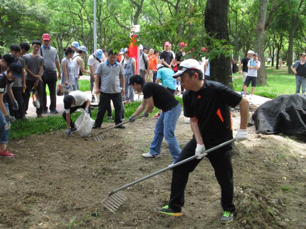 (圖6)種植草坪先從鬆土清理石塊開始