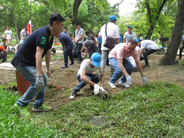 (圖7)眾人合力種植草坪，提升林間景觀美感