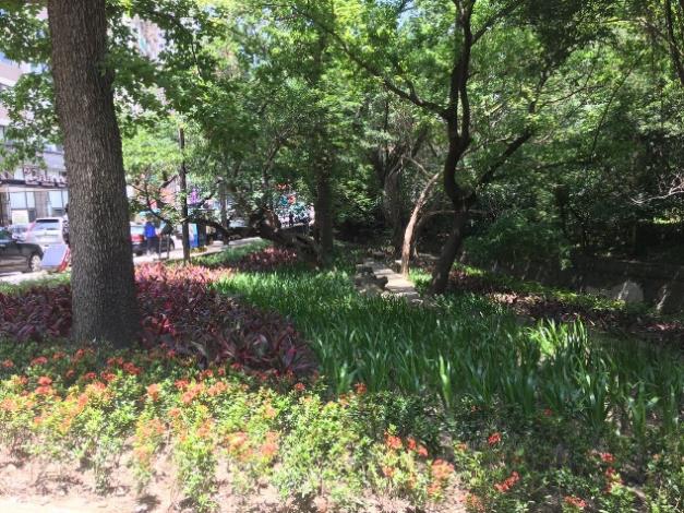圖2.北投公園林下裸露景觀改善情況2