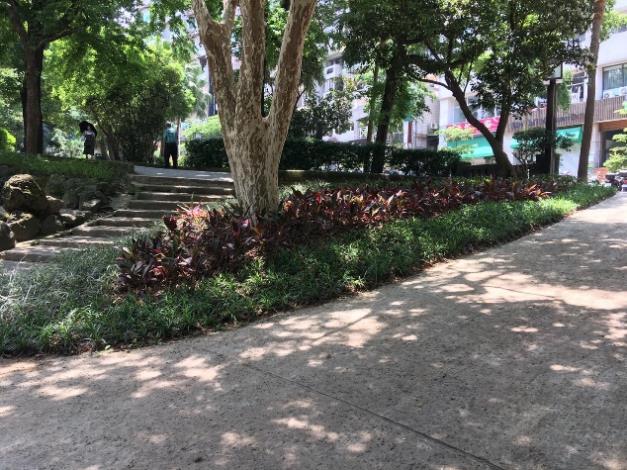 圖3.北投公園林下裸露景觀改善情況3 