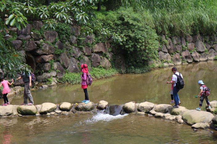 家庭親子造訪臺北市內溝溪，踏石過溪，拉近家人距離又有趣味。