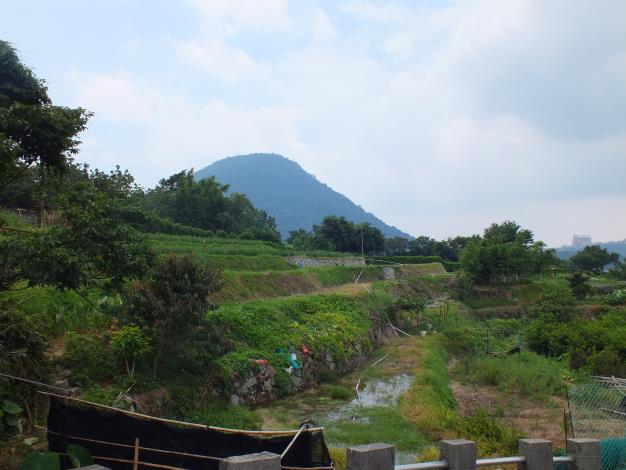 照片7　十八挖水圳步道沿途梯田景致