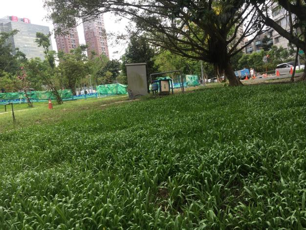 上、下兩張相同地點照片，只要調整固定式取景角度，即可拍攝出兩張截然不同的影像。一張部分地表植生尚未恢復，一張則呈現地表植生茂密情形。這種現象，若以720度環景相機拍攝即可杜絕。