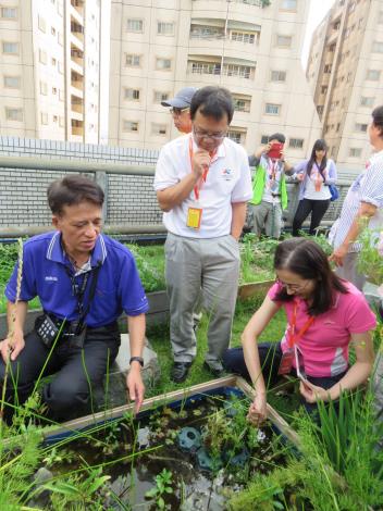 水池有水生植物、魚形成豐富的生態相