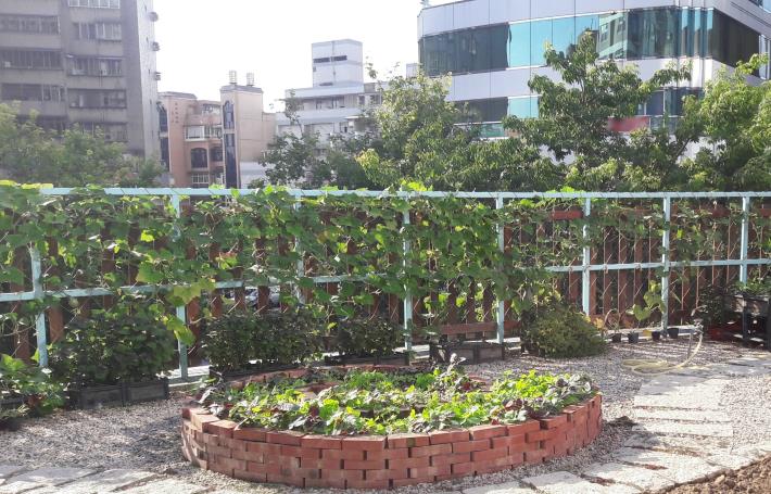 士林區德行里屋頂花園