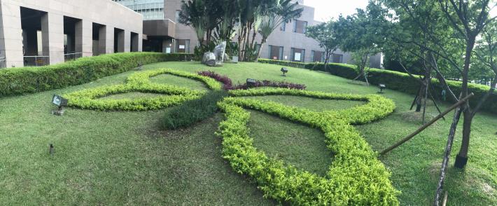 圖11、市府北門旁草地「蝴蝶」正在施工中，預計8月1日即將與市民見面喔