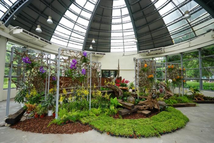 青年公園園藝展覽館重新開放，將於9月1日到14日展出「樹漾生風-樹‧世代風華」