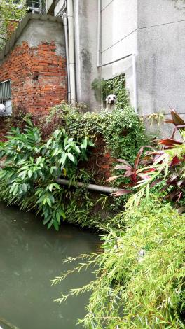 (圖4)引入地方意象提升人文情感