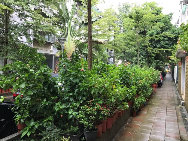 圖4、朱槿花巷弄－民生東路4段56巷3弄