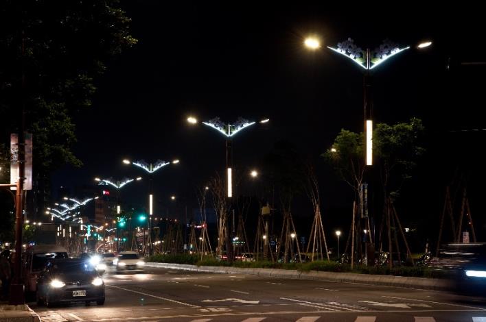 相片6-大業路櫻花路燈夜景