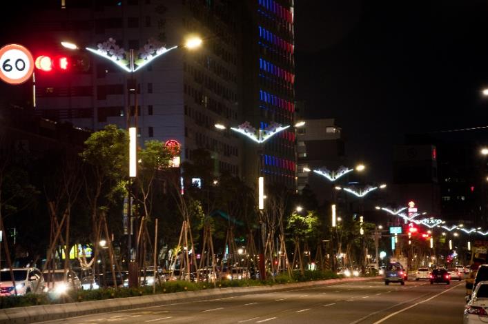 相片7-大業路櫻花路燈夜景