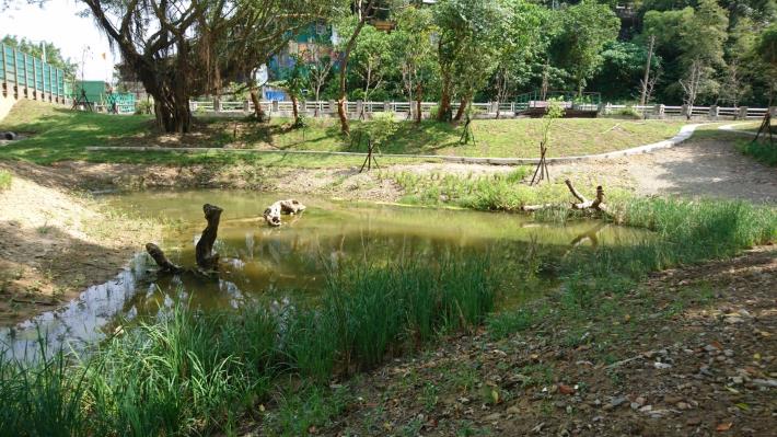 公園一景 – 生態池，回復過去永春陂風貌的起點。