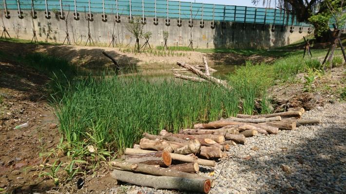 公園一景 – 枯木微棲地，公園內營造多數枯木微棲地，孔隙可供小動物棲息使用。