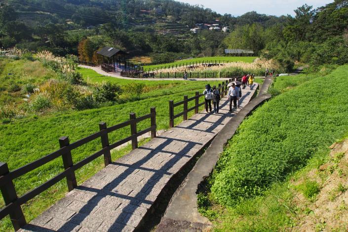 照片3 樟樹步道沿途綠意景緻