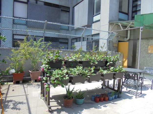 圖1 萬芳醫院 高架型植栽床