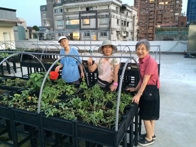 圖2 新民炤社區 志工們熱衷參與園圃經營