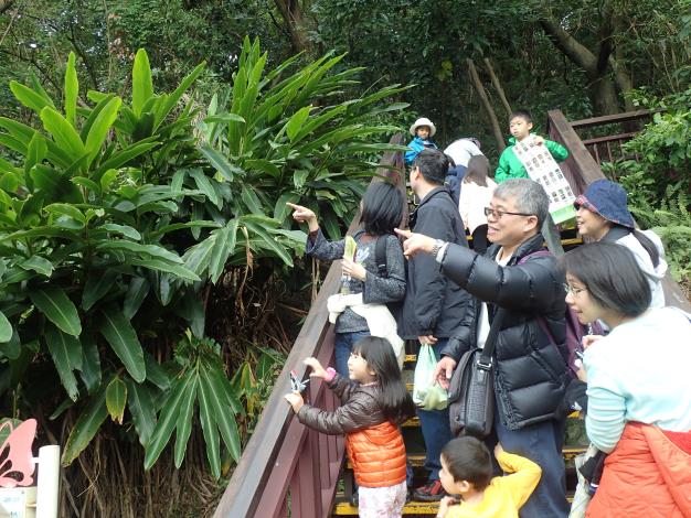 劍南蝶園賞蝶生態導覽活動