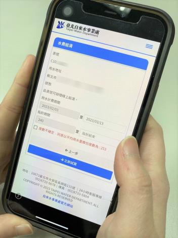 Screenshot of the Online Water Bill Settlement Service