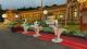 Azalea direct drinking fountains