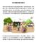 messageImage_1748235692934_0