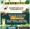 擷取-1.PNG