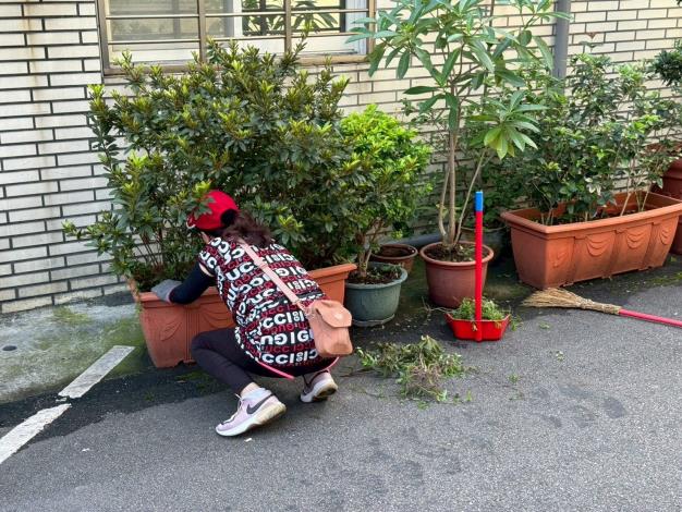 114年6月份登革熱孳生源清除日10