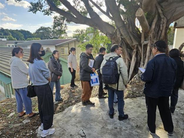 中心新村受保護樹木會勘-4