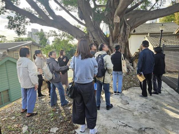 中心新村受保護樹木會勘-3