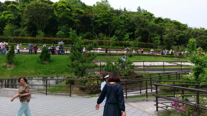 花葬區一景