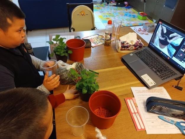 學員認真看著講師示範如何種植香草植物