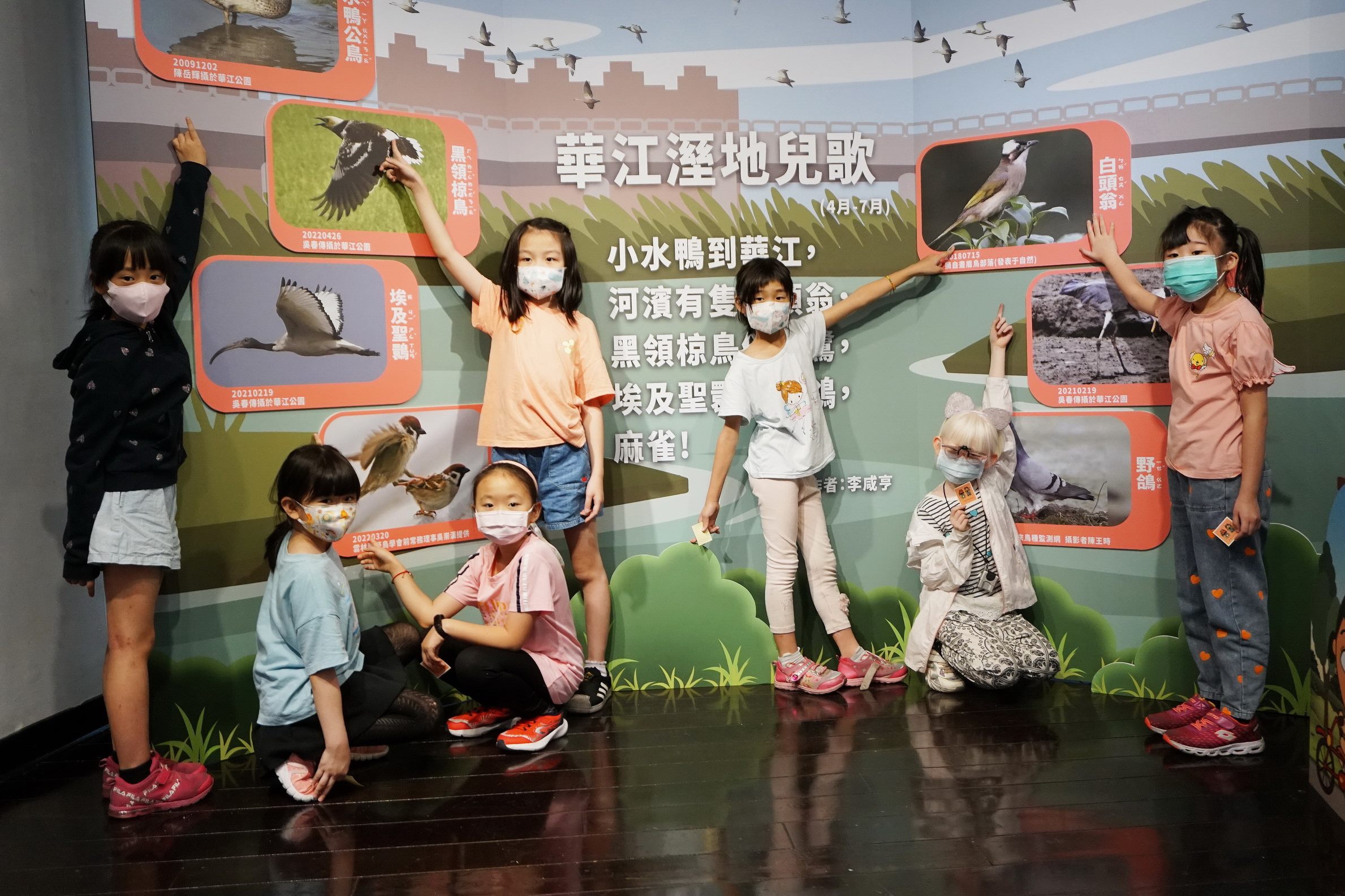 臺北市政府教育局 一般公告 教育局新聞稿鄉土教育中心 小水鴨之華江戀情 特展 邀您一同認識 華江濕地 欣賞 華江三美