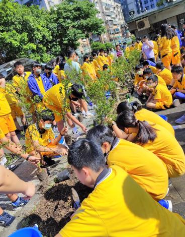 國七全年級學生參與植樹活動