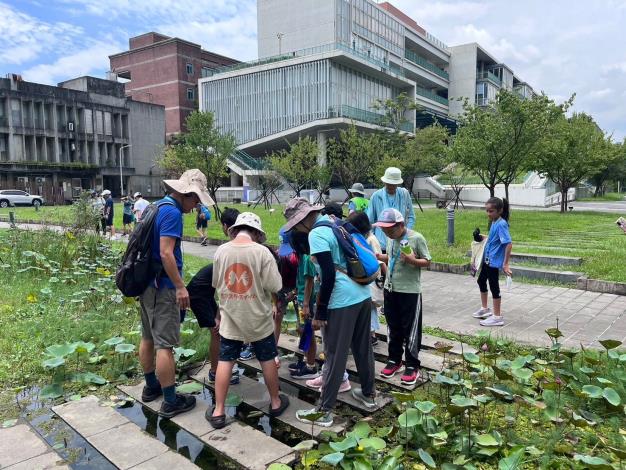 學員於台大校園研究水生動植物