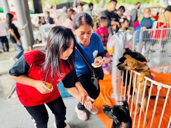 至流浪犬送養會分享自製點心