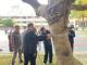 臺北市政府教育局湯志民局長(左四)在國立臺灣大學森林環境暨資源學系邱祈榮教授(左一)的指導下，使用胸徑尺測量校園樹木的胸高直徑
